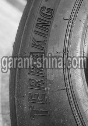 Terraking HS166 (прицепная) 385/65 R22.5 160K 20PR - Фото боковины с Брендом